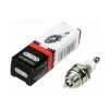 Bougie Oregon Rc12yc-fr8dc-bcpr5es Pour Moteur Oregon